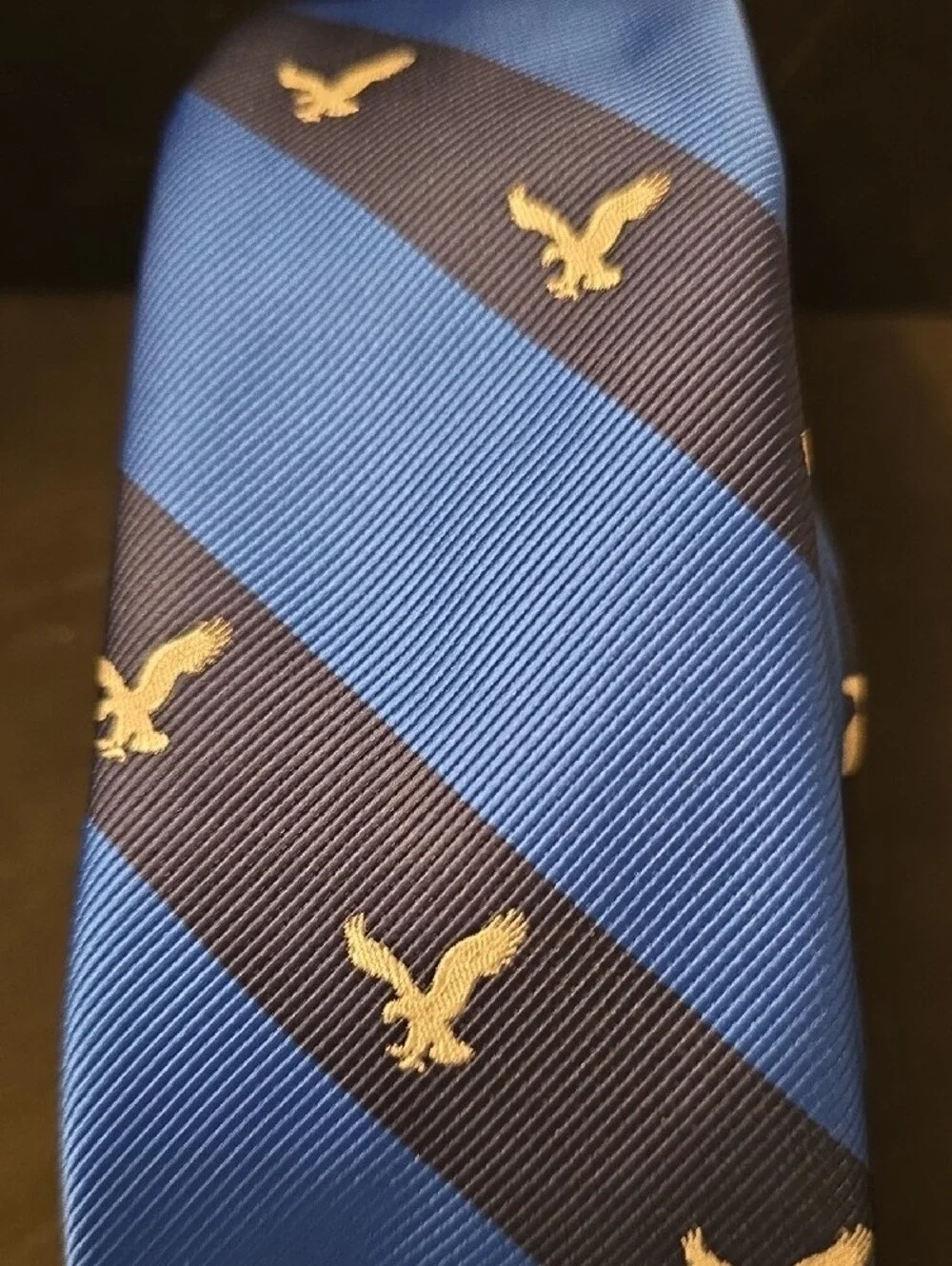 Blue Striped Eagle Motif Men's Tie AmericanEagle Outfitters 2013